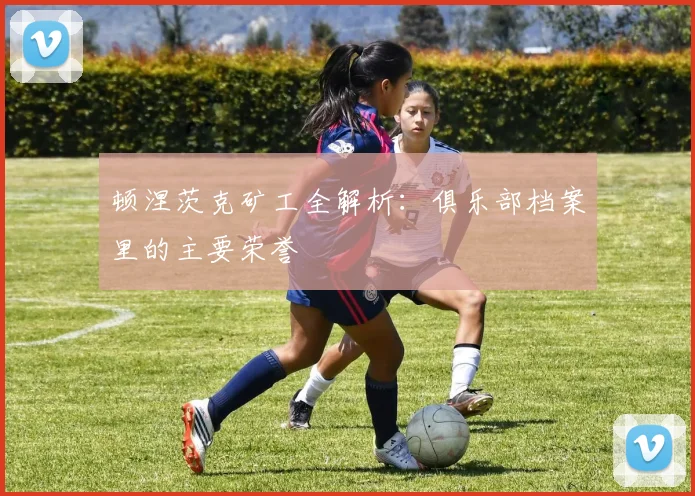 顿涅茨克矿工全解析:俱乐部档案里的主要荣誉